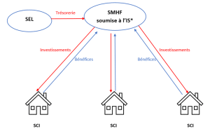 Schéma juridique et financier d’une SEL reliée à une SMHF