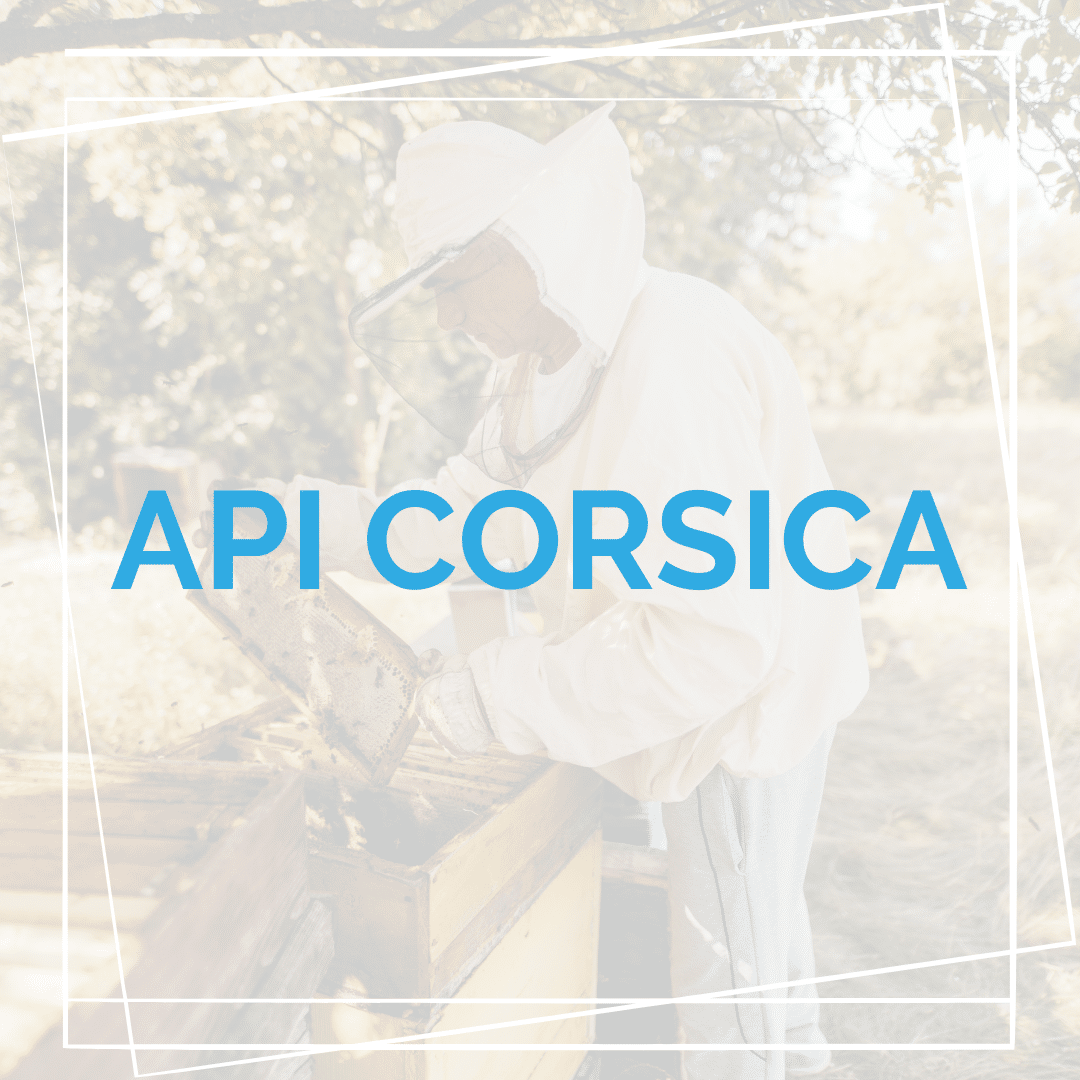 La philanthropie selon BARIS Stratégie qui soutient API Corsica